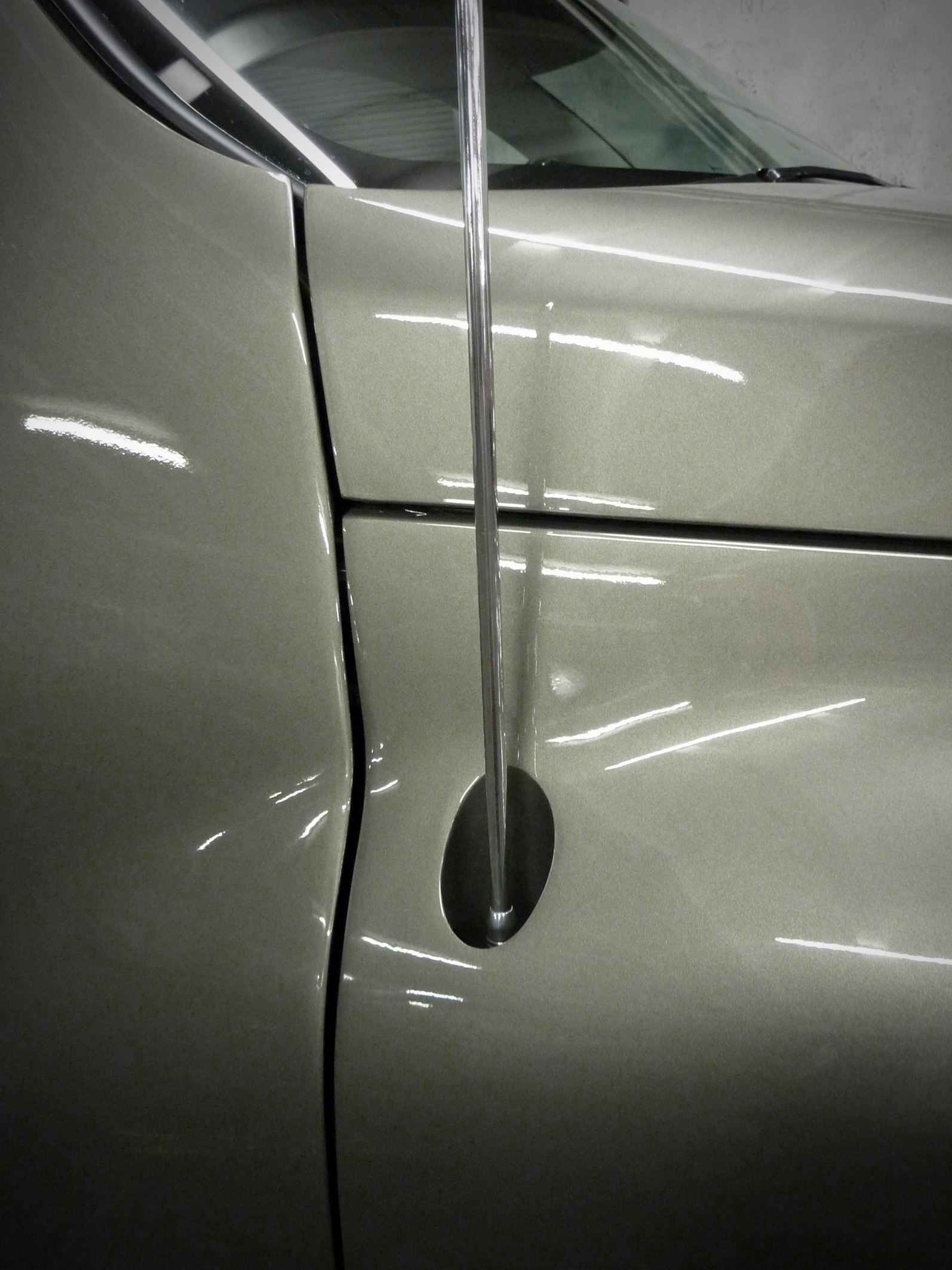 Groozer antennae