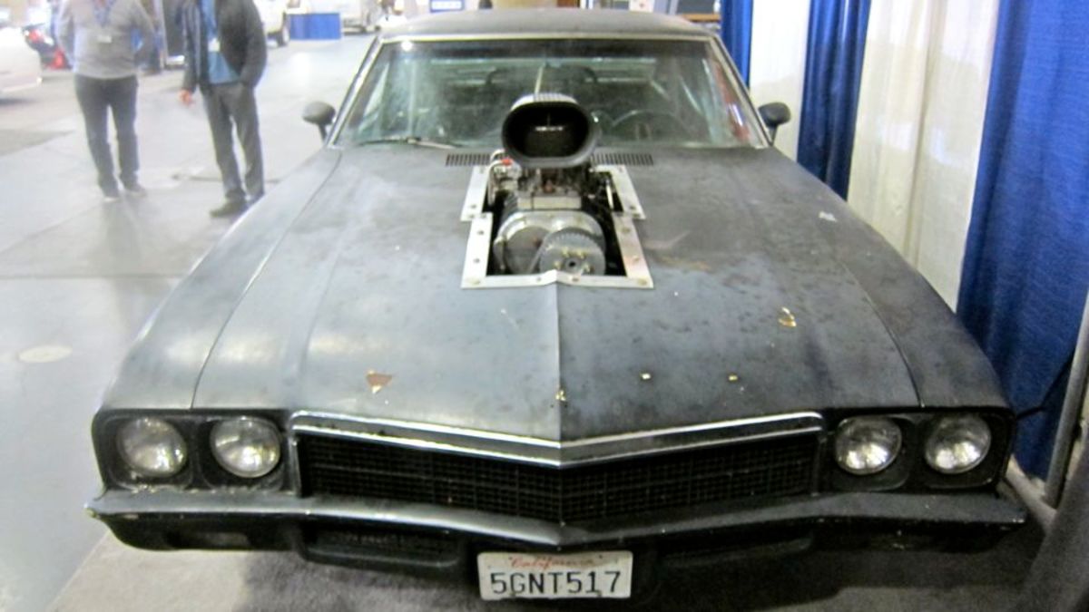 Medusa front view
