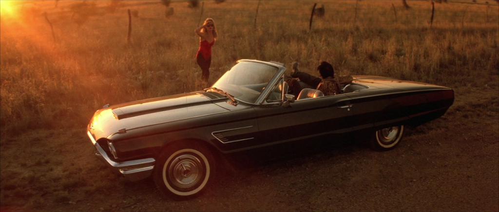 Wild At Heart Ford Thunderbird