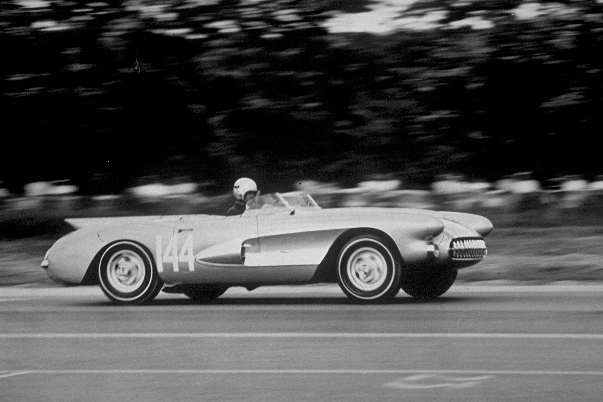SR-2 with a low fin, photo 3.