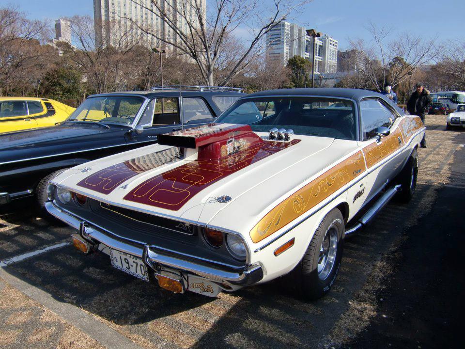 Magic Powder Challenger, photo 01.