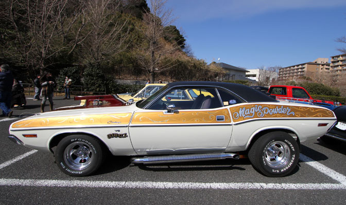 Magic Powder Challenger, photo 02.