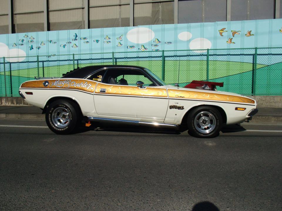 Magic Powder Challenger, photo 08.