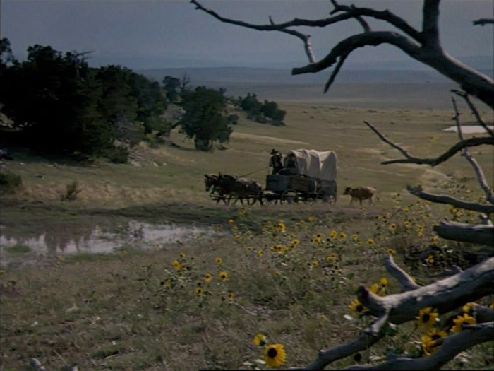 a shot from the movie Conagher