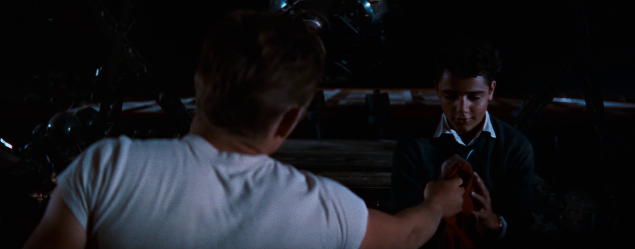 rebel without a cause, Rebel Without a Cause, 1955