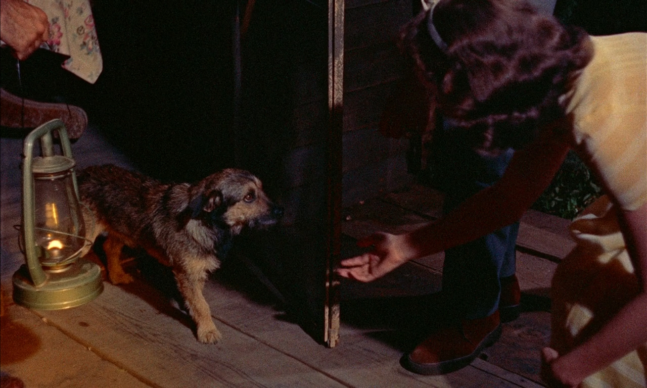 Doggie from the movie Blob 1958, frame 1.