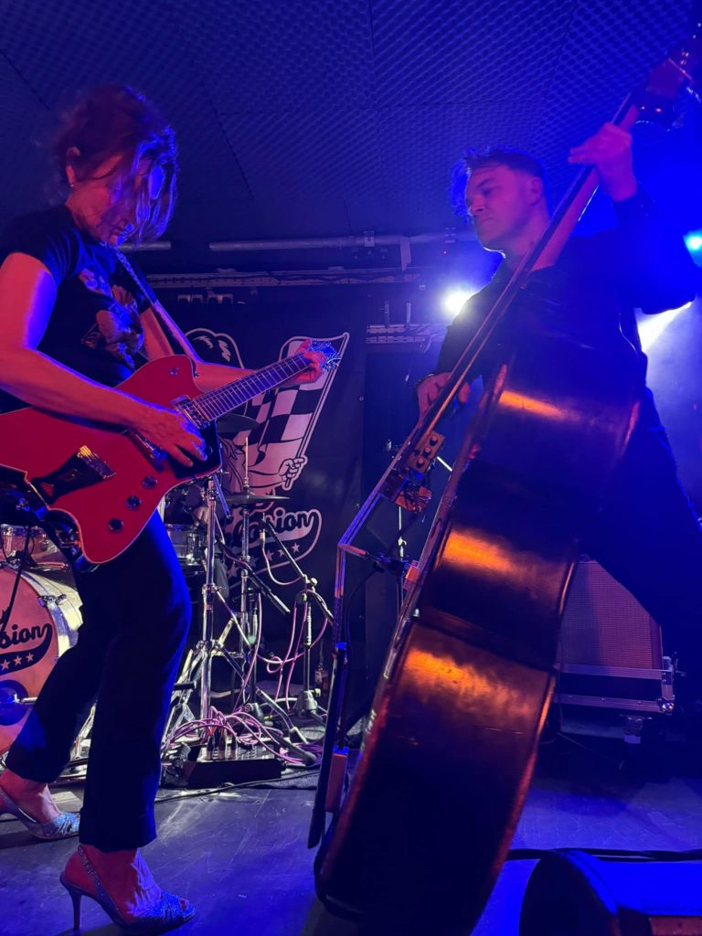 Hillbilly Moon Explosion live on stage