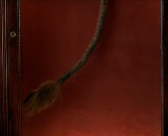 The Tail from the movie Shortcut to Happiness by the > Devil and Daniel Webster