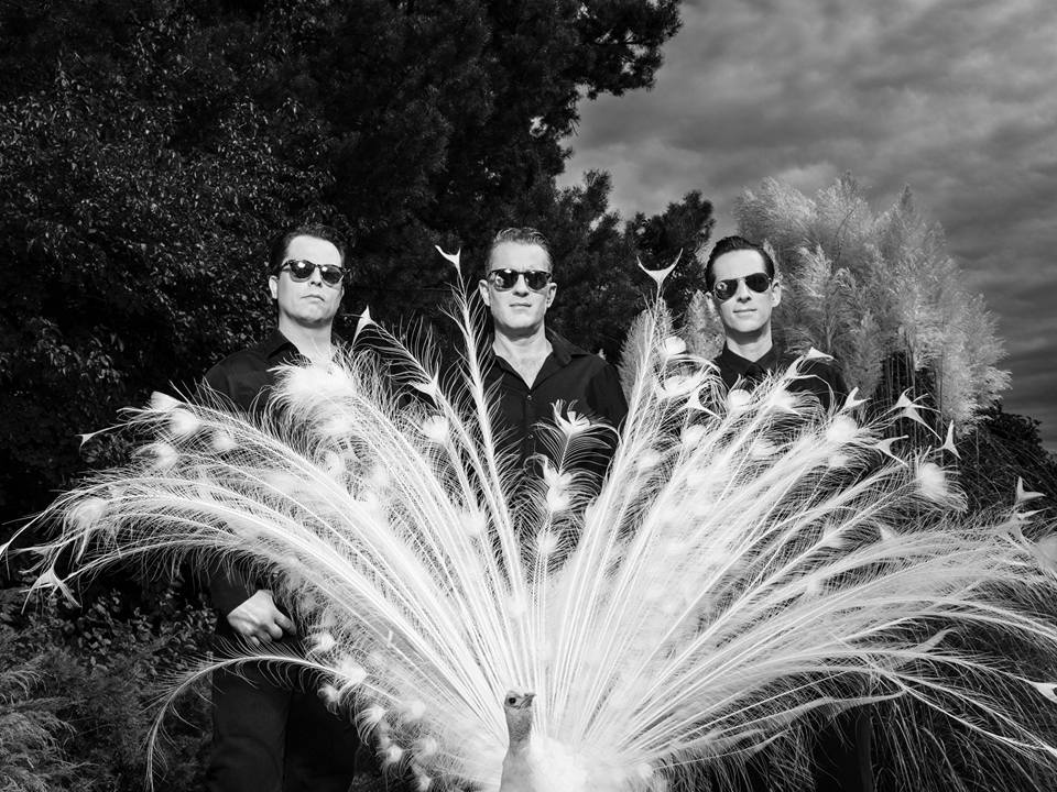 The Peacocks, cycobilly punk rockers from Switzerland
