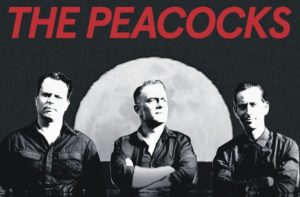 Album Review And Now What by a punk rock band Article album by The Peacocks, 2024