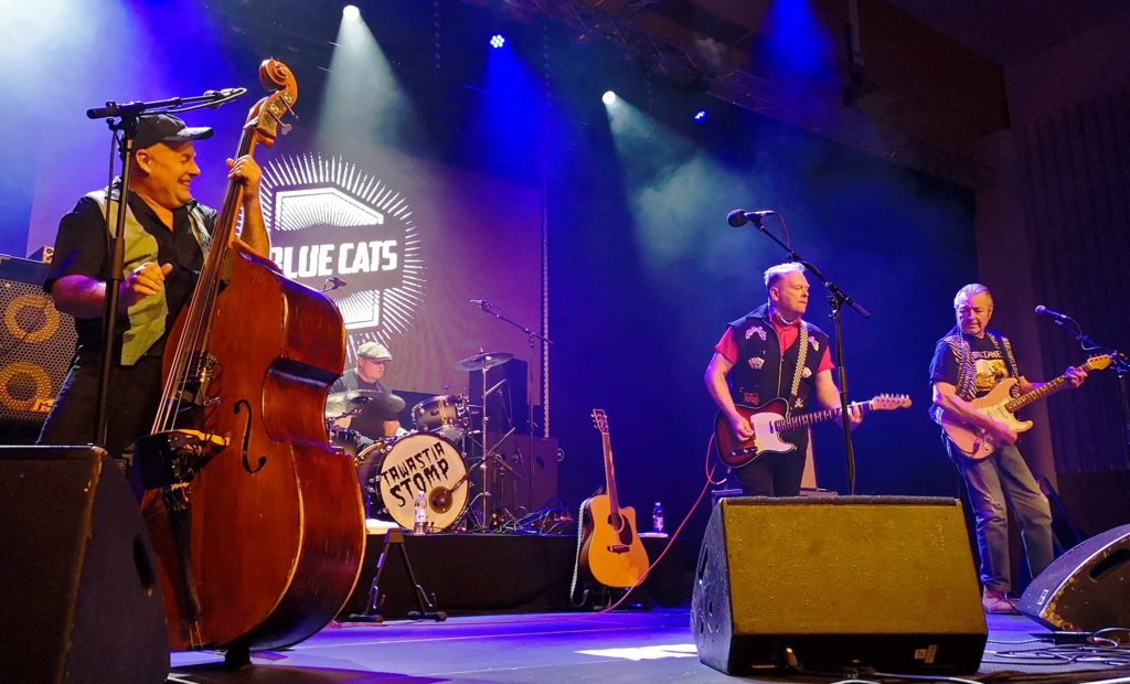 Blue Cats, photos from the 2012 concert