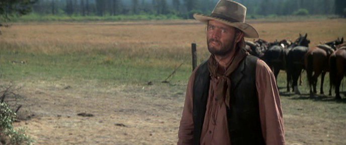 Rooster Cogburn, the leader of the Hawk gang