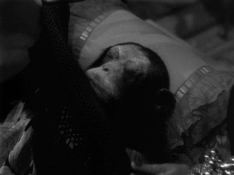 A dead chimpanzee in the movie Sunset Boulevard 1950