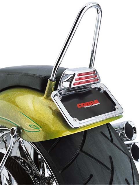 Chopper based on the Kawasaki Vulcan 2000 motorcycle, photo 09.