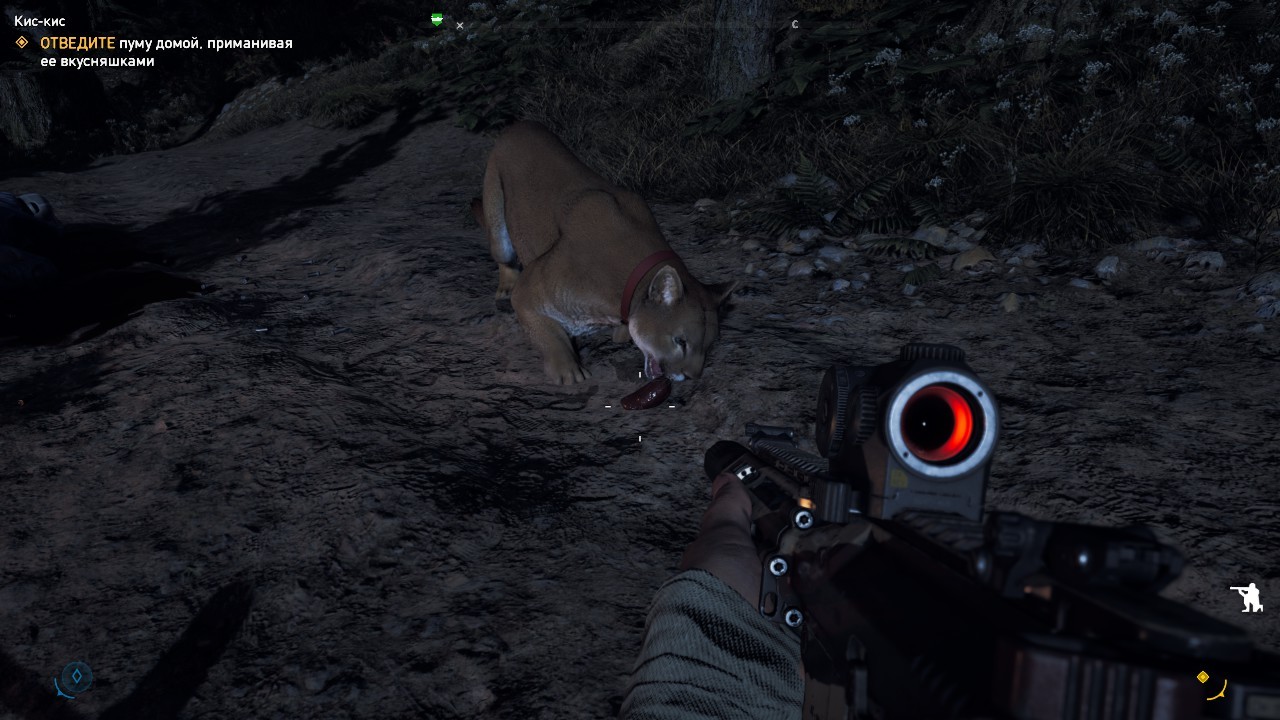 Cougar, the game Far Cry 5