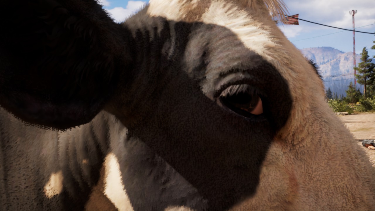 cow in the game Far Cry 5