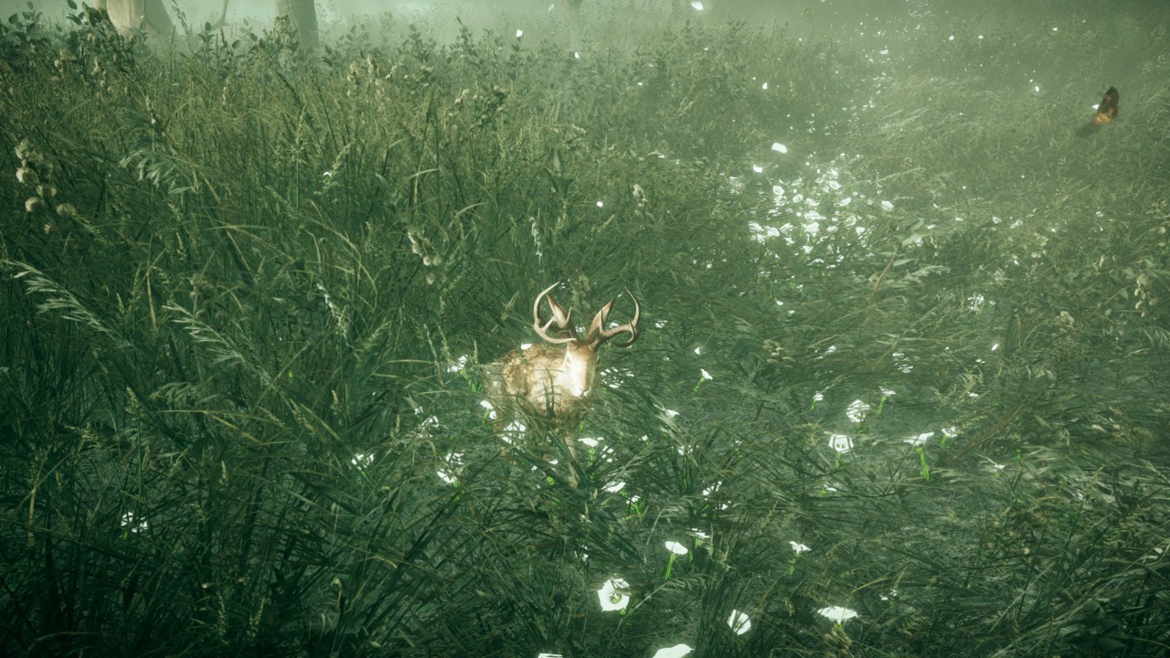 deer, screenshot from the game Far Cry 5