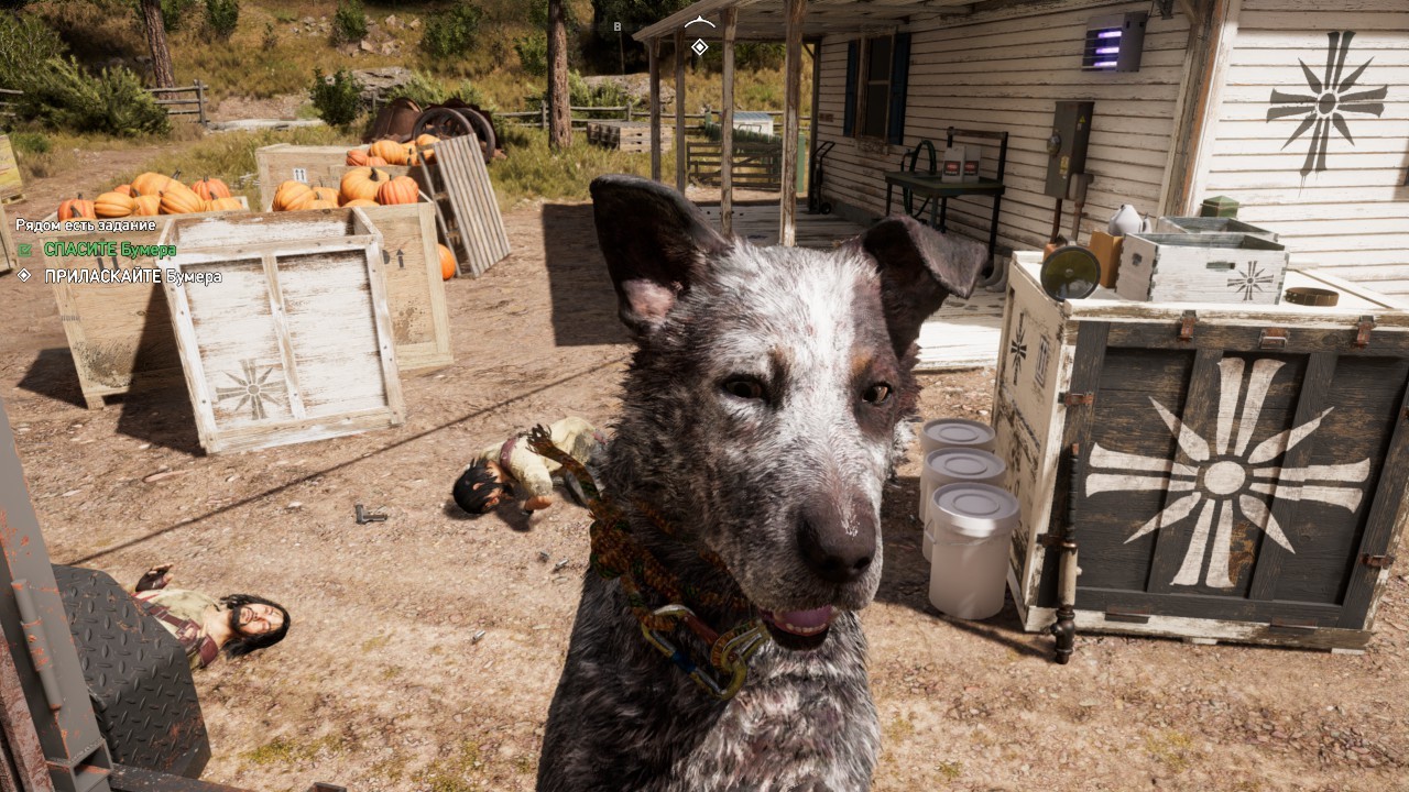 dog, screenshot from the game Far Cry 5