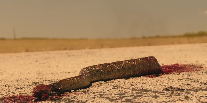 Death of the snake, Landman