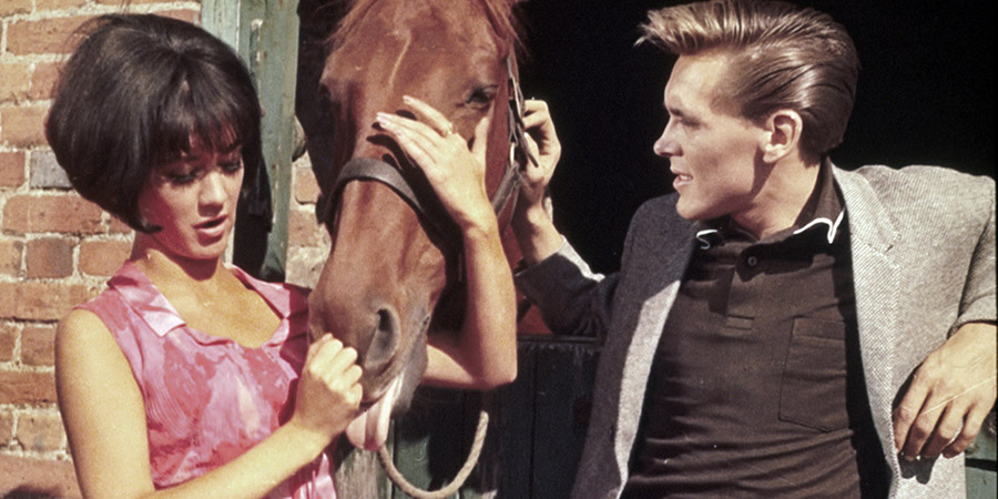 Amanda Barrie, Billy Fury, I've Gotta Horse (1965)