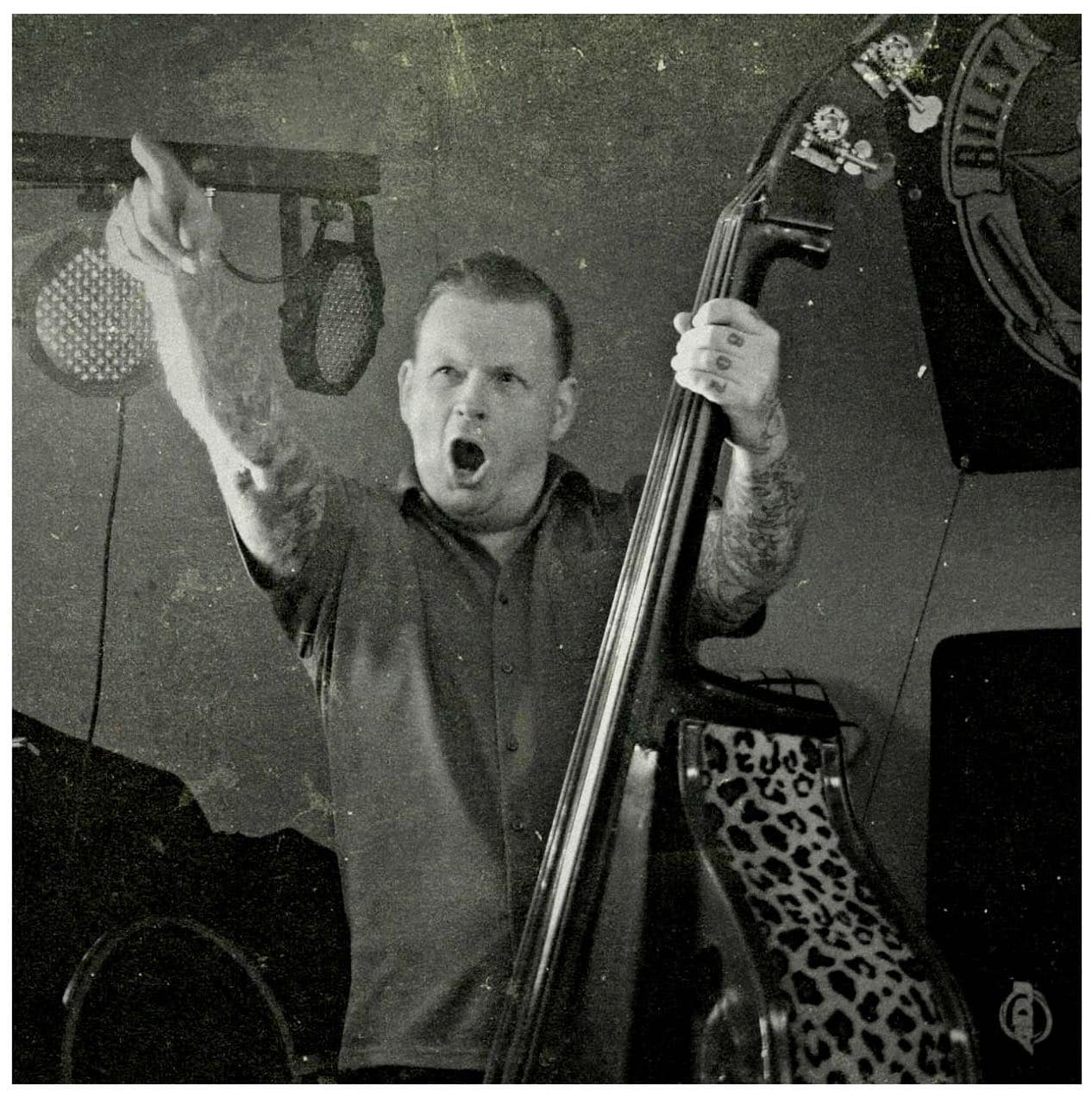 Andreas Muller, leopard double bass