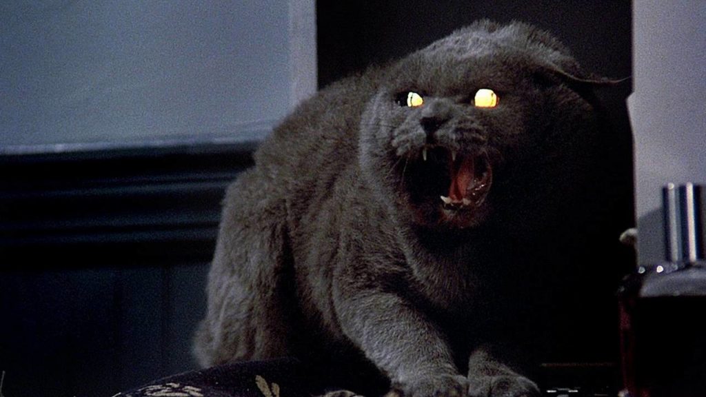 The cat from the movie Pet Cemetery
