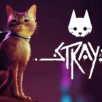Stray: The Urban Blues of a little tramp
