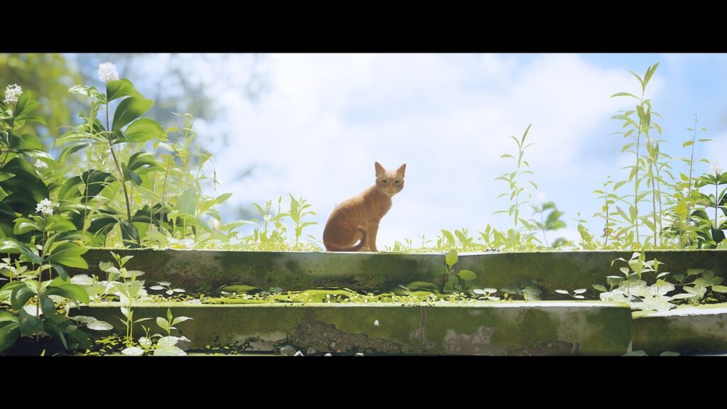 screenshot from the Stray 2022 game
